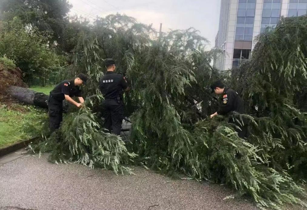 C:/Users/BA/Desktop/風(fēng)雨過后南京保安迅速行動，恢復(fù)安“寧”面貌/1.jpg1